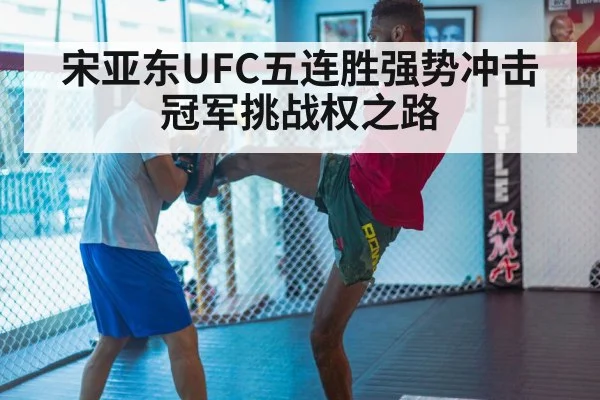 MMA training