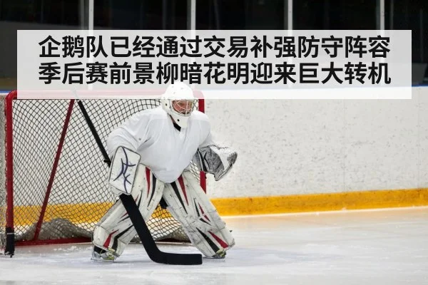 企鹅队已经通过交易补强防守阵容季后赛前景柳暗花明迎来巨大转机