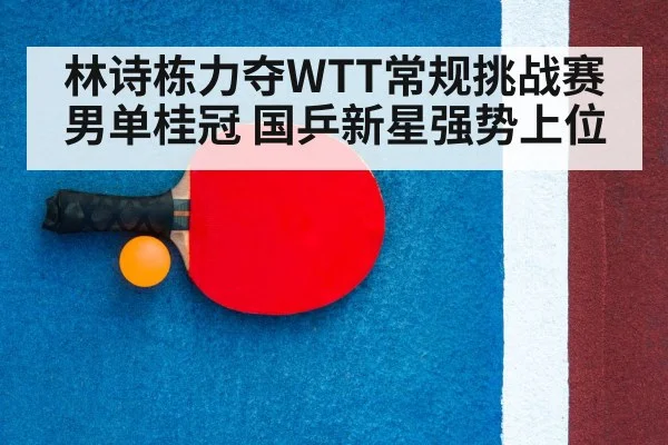 table tennis racket